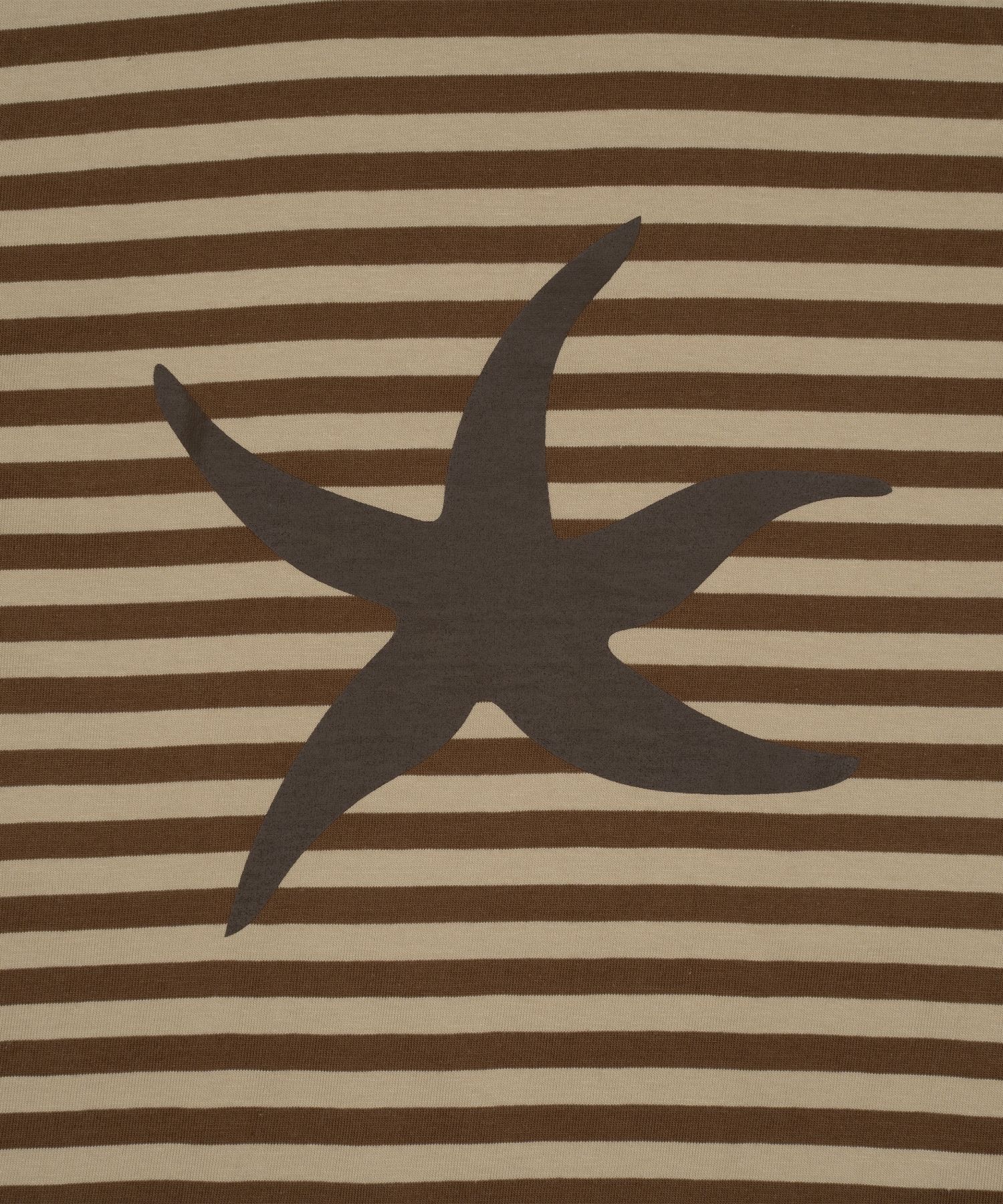 MUSINSA | THE COLDEST MOMENT TCM starfish stripe T (brown)