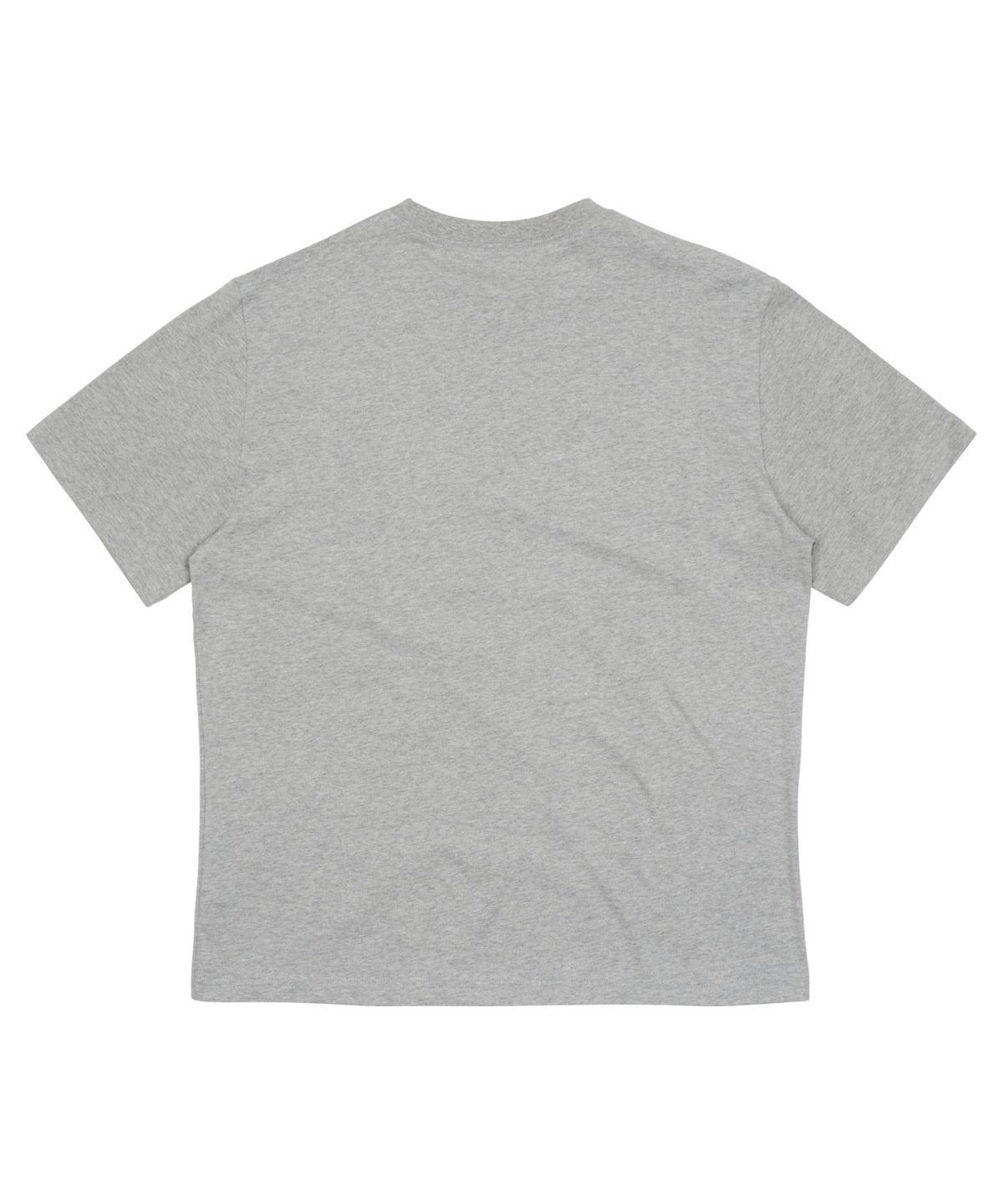 더콜디스트모먼트(THE COLDEST MOMENT) TCM pioneer T (grey)
