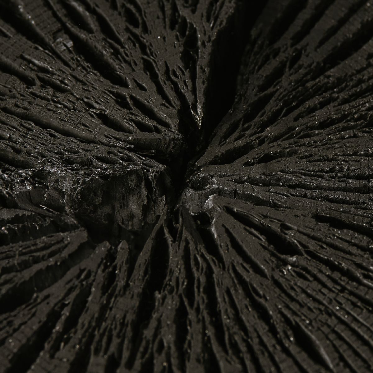 바를(BARLE) 바를 차콜 멜팅 클렌징밤
