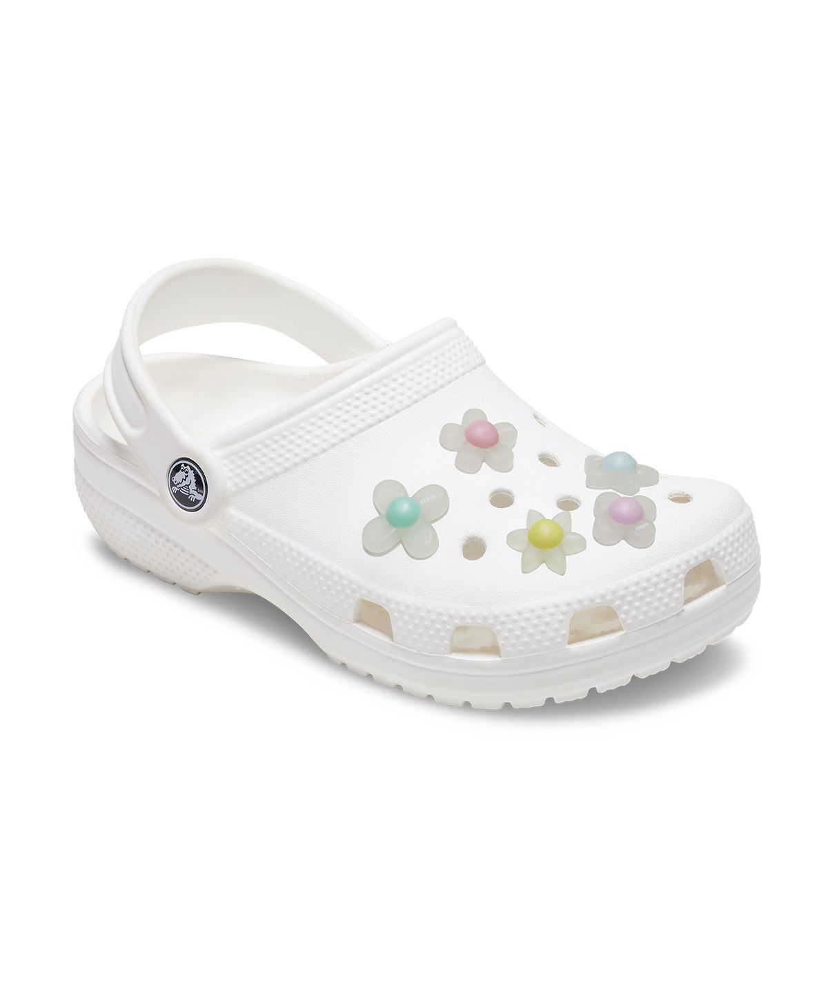 크록스(CROCS) 무지개빛 꽃 5개 세트 / 10014623