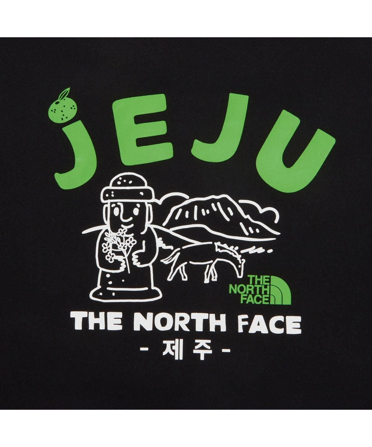 노스페이스(THE NORTH FACE) NT7UR44A TNF 제주 에디션 반팔티 BLACK