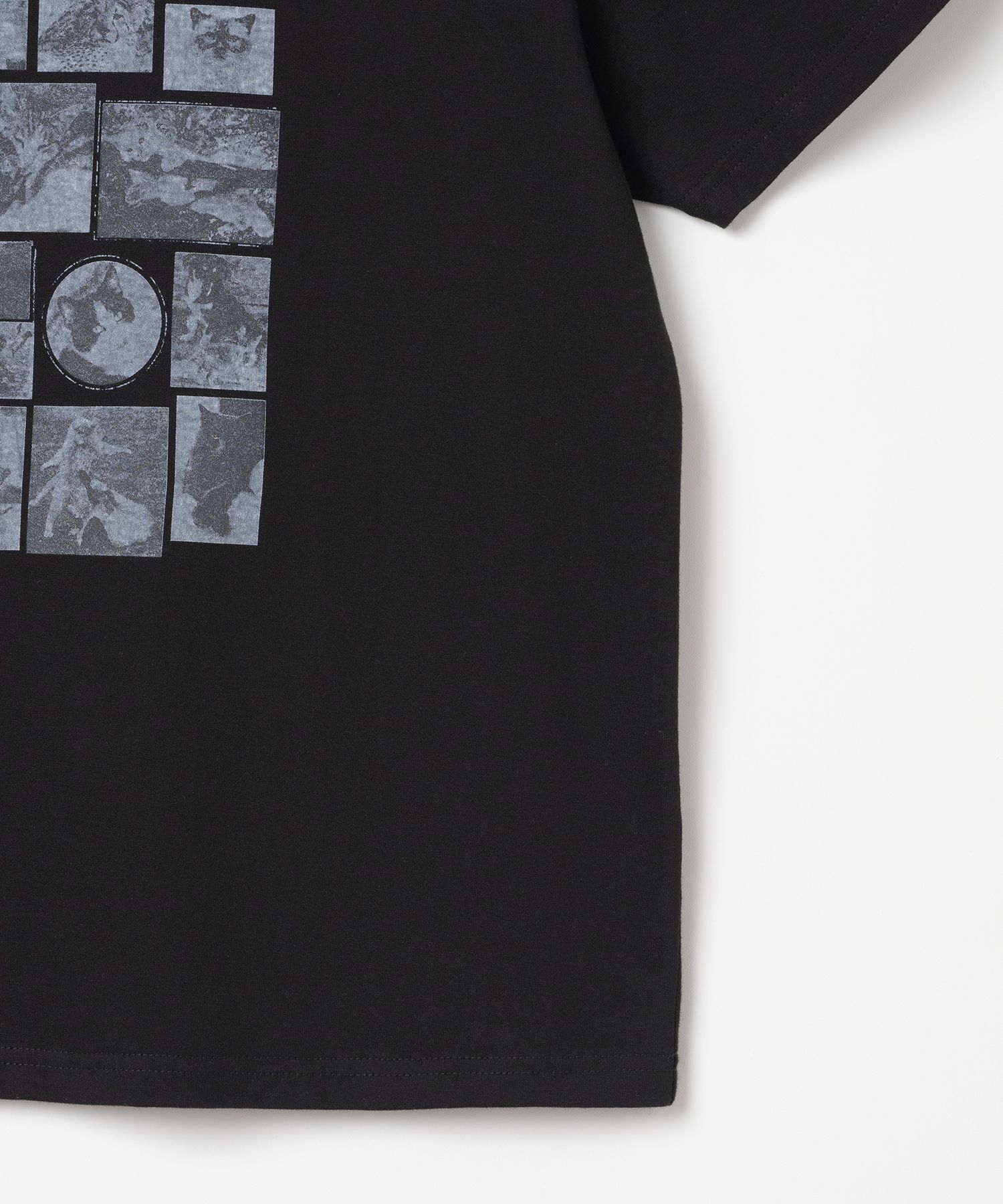 MILLO ARCHIVE☆パクジフン着用Custom Frame Cat T-Shirts MUSINSA | MILLO ARCHIVE Custom Frame Cat T-Shirt [White]