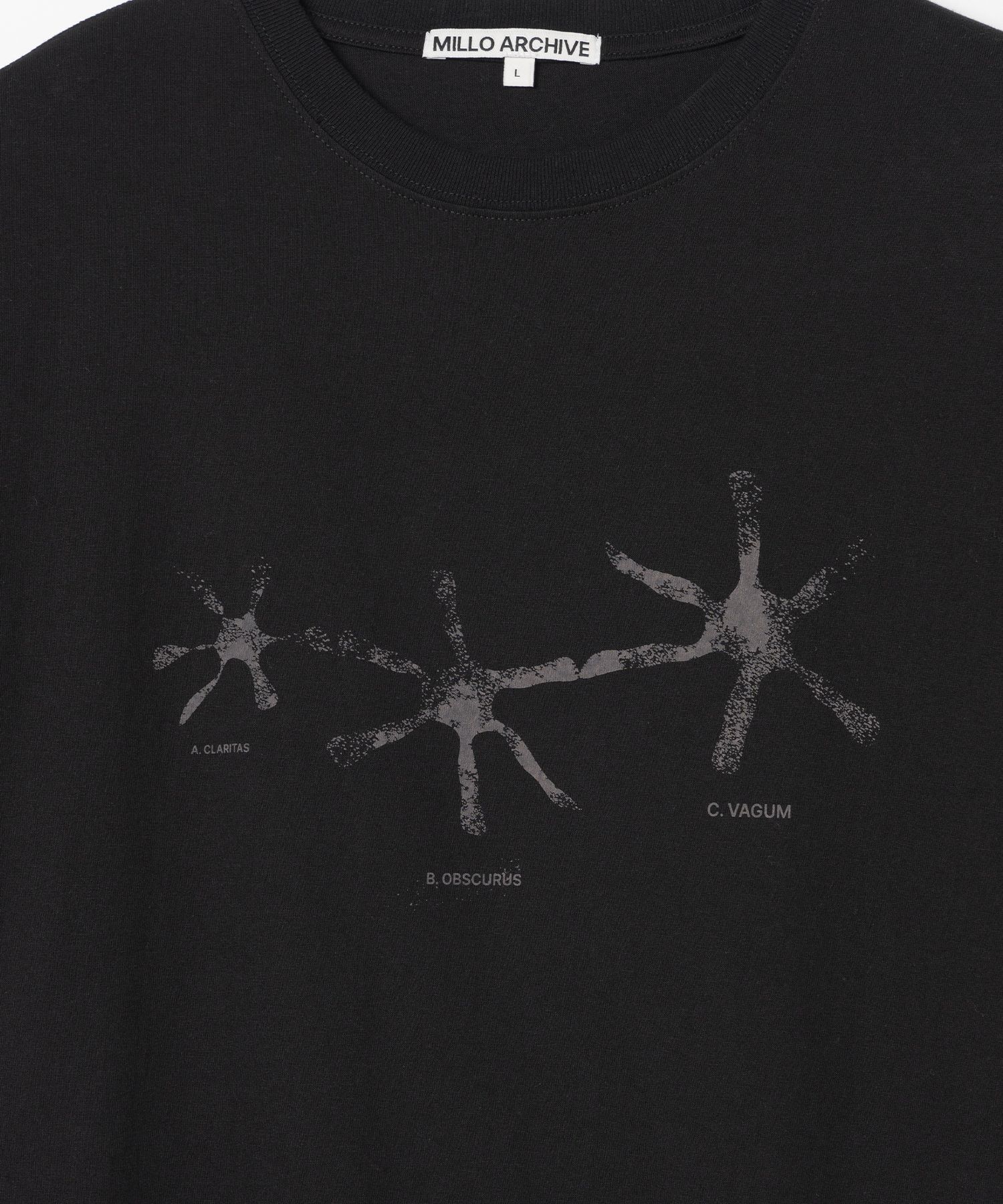 MILLO ARCHIVE ♥ Crescendo Faded T-Shirts/ 追跡付 MILLO ARCHIVE Crescendo Faded T-Shirts