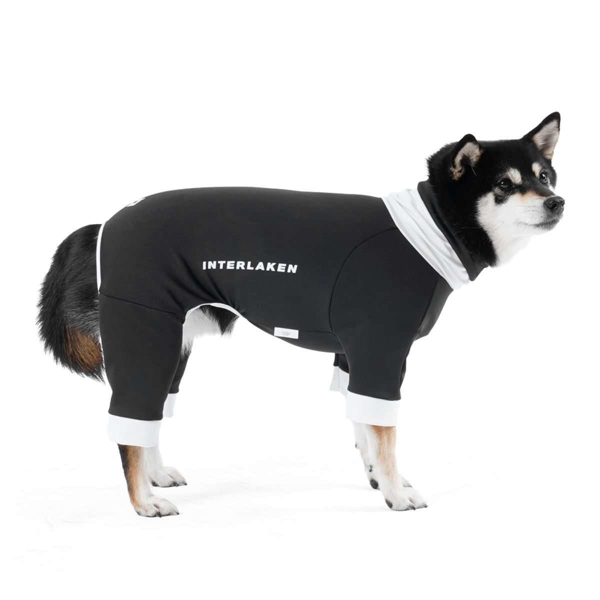 니즈더펫(NEEDS THE PET) 인터라켄 강아지 액티 핏 웨어 올인원 데일리 이너웨어