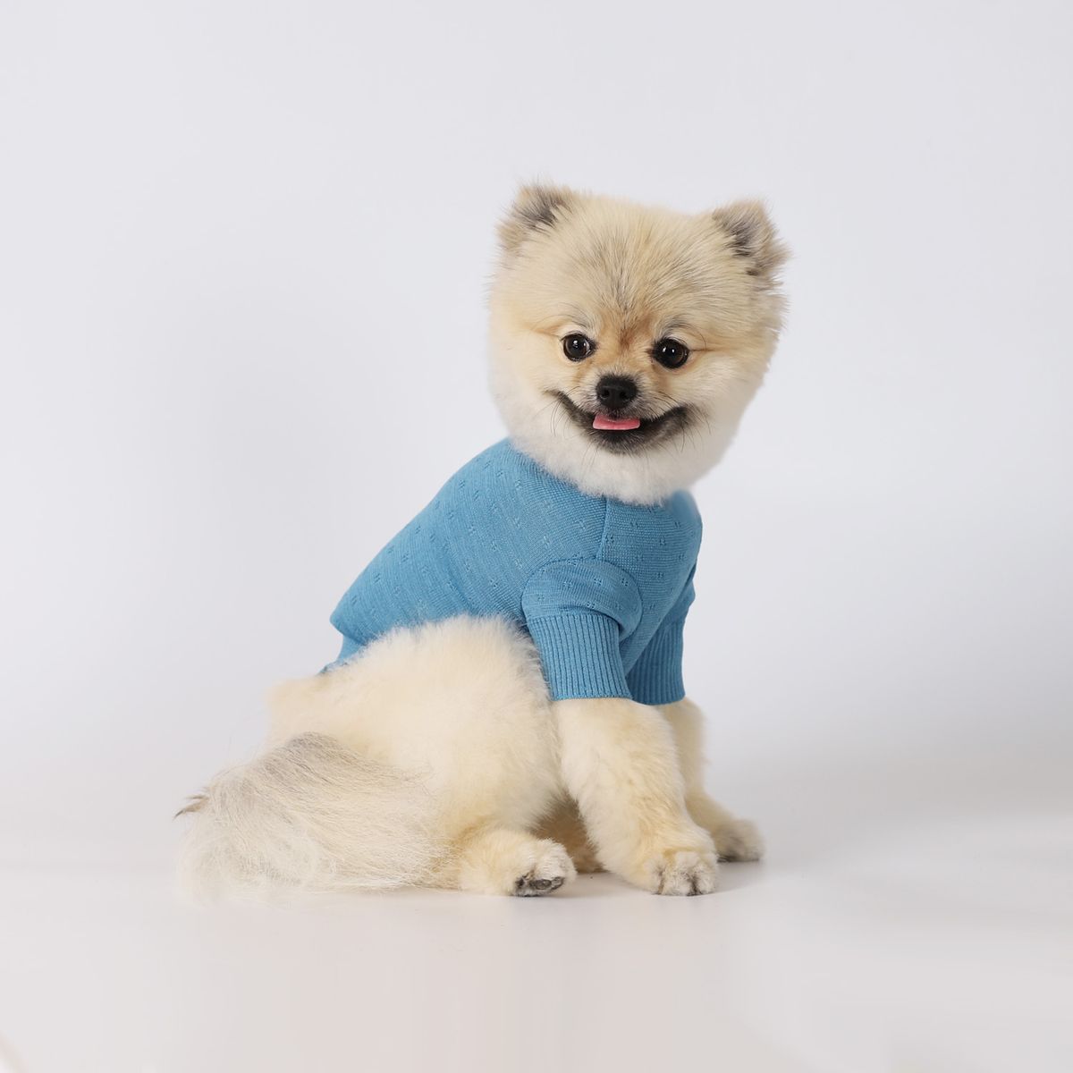 몽루(MONLOUP) 루
