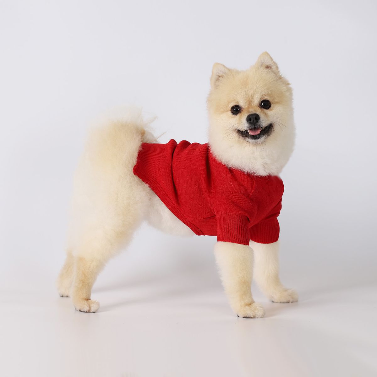 몽루(MONLOUP) 루