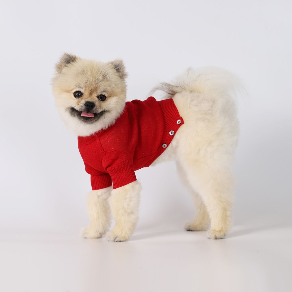 몽루(MONLOUP) 루