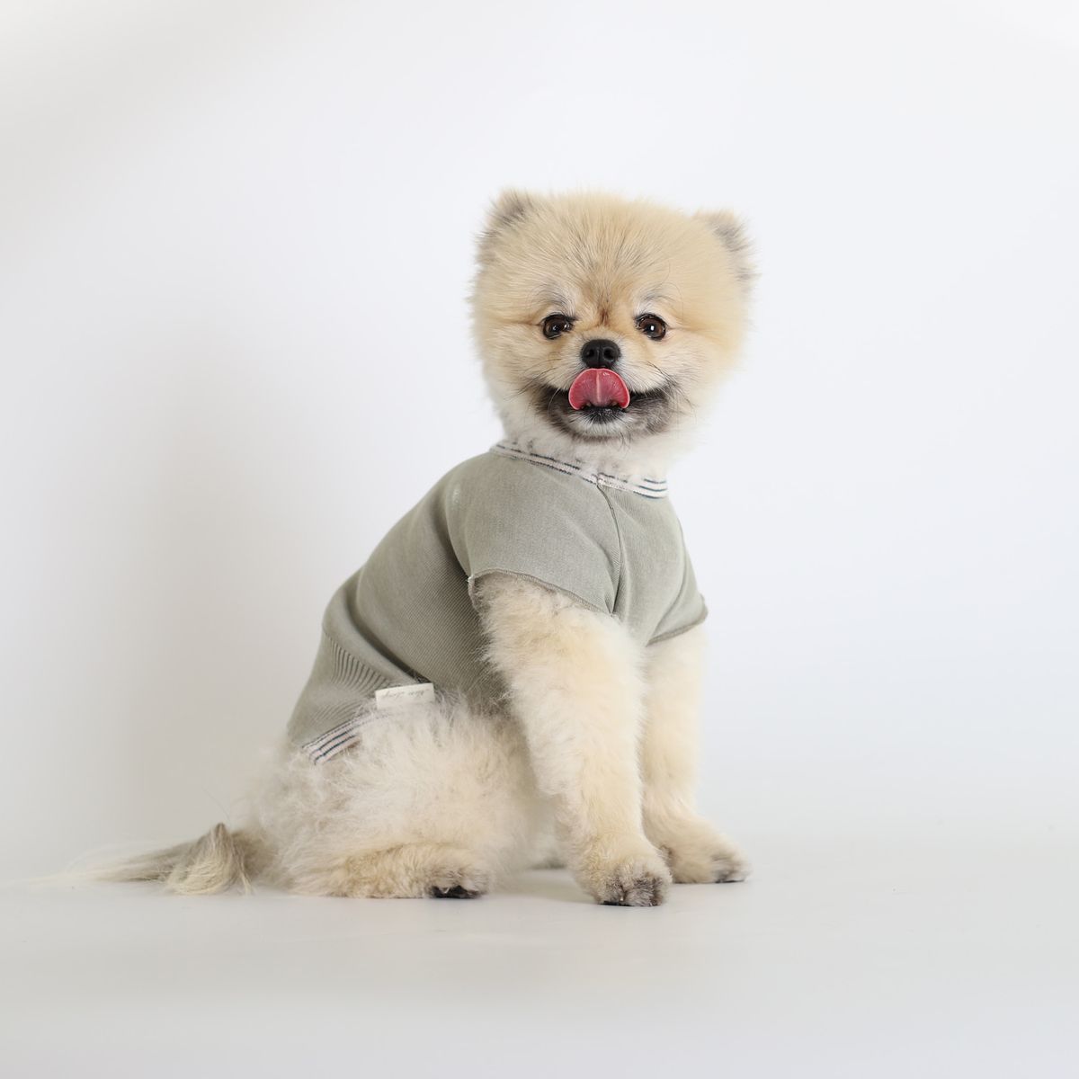 몽루(MONLOUP) 마치 빈티지