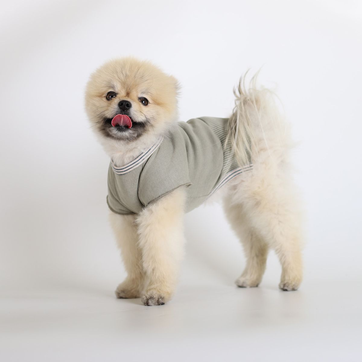 몽루(MONLOUP) 마치 빈티지