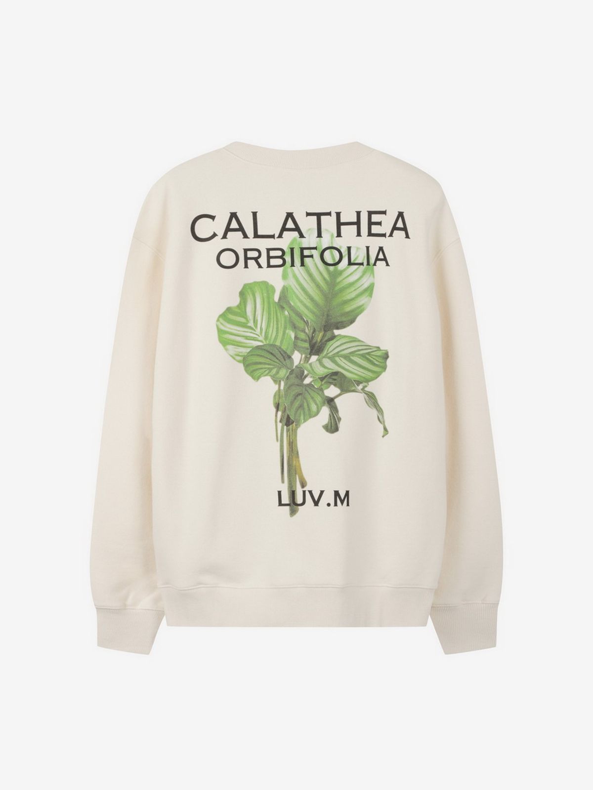 엘유브이엠(LUVM) CALATHEA PRINTING SWEATSHIRTS_CREAM