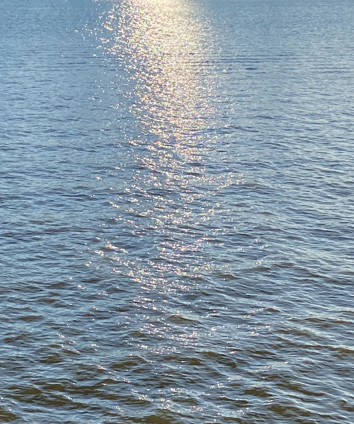 리튼온워터(WRITTEN ON WATER) 리튼온워터 엉쁠레네흐