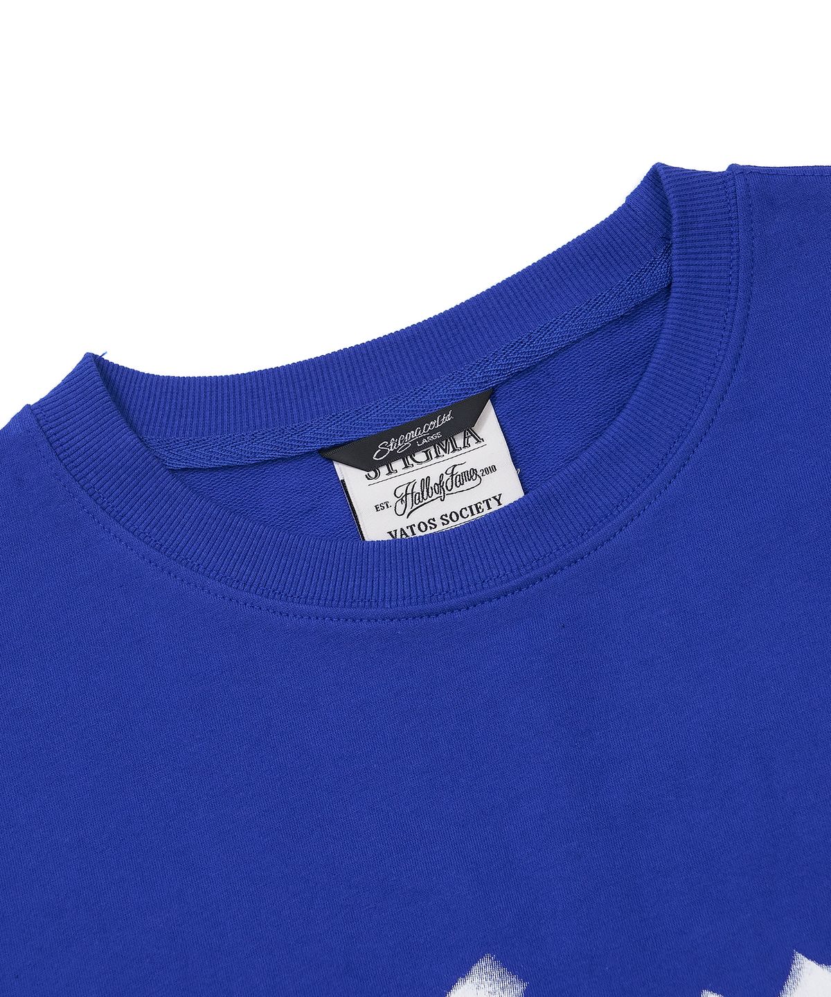 스티그마(STIGMA) Blur STGM Semi-oversized T-shirts Blue