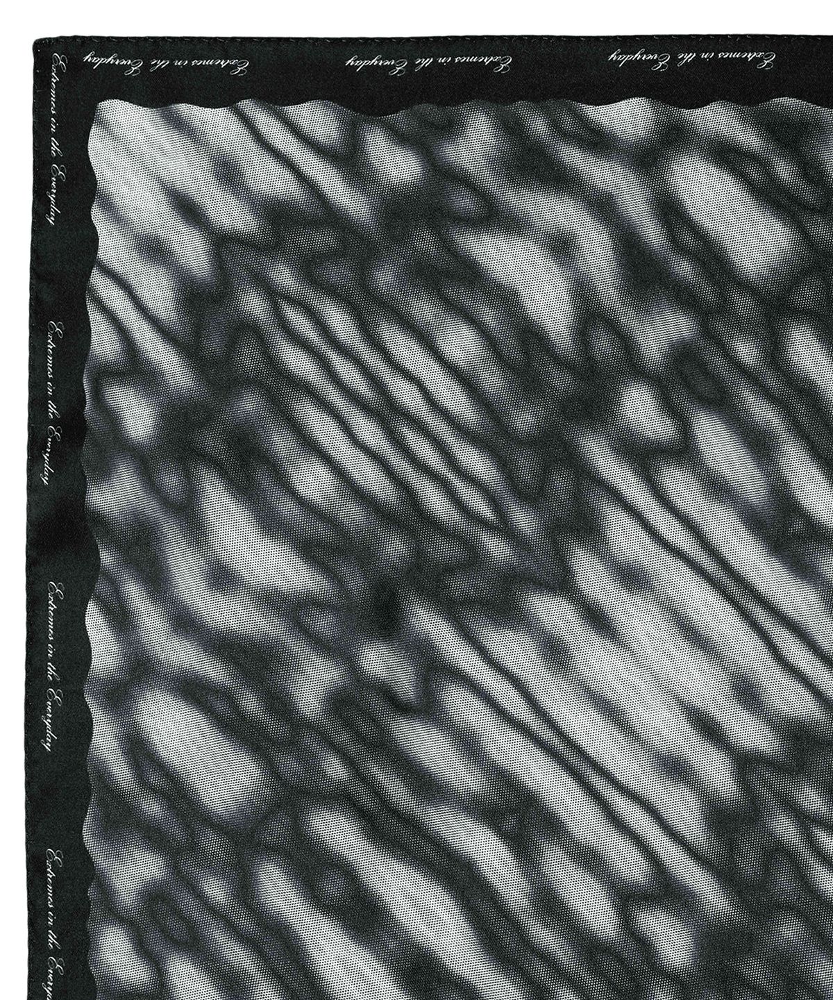 킴지수(KIMZISU) Haze Motif Mini Scarf 45 _ BLACK