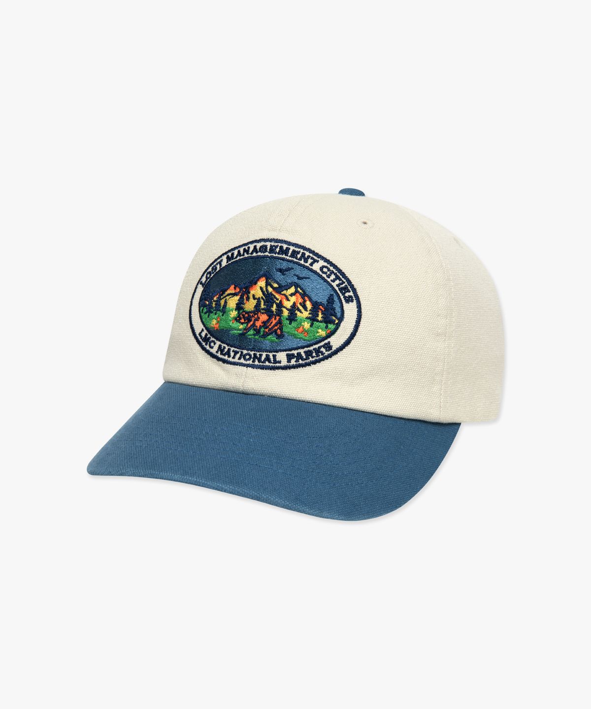 엘엠씨(LMC) VTG COLOR BLOCK 6PANEL CAP blue