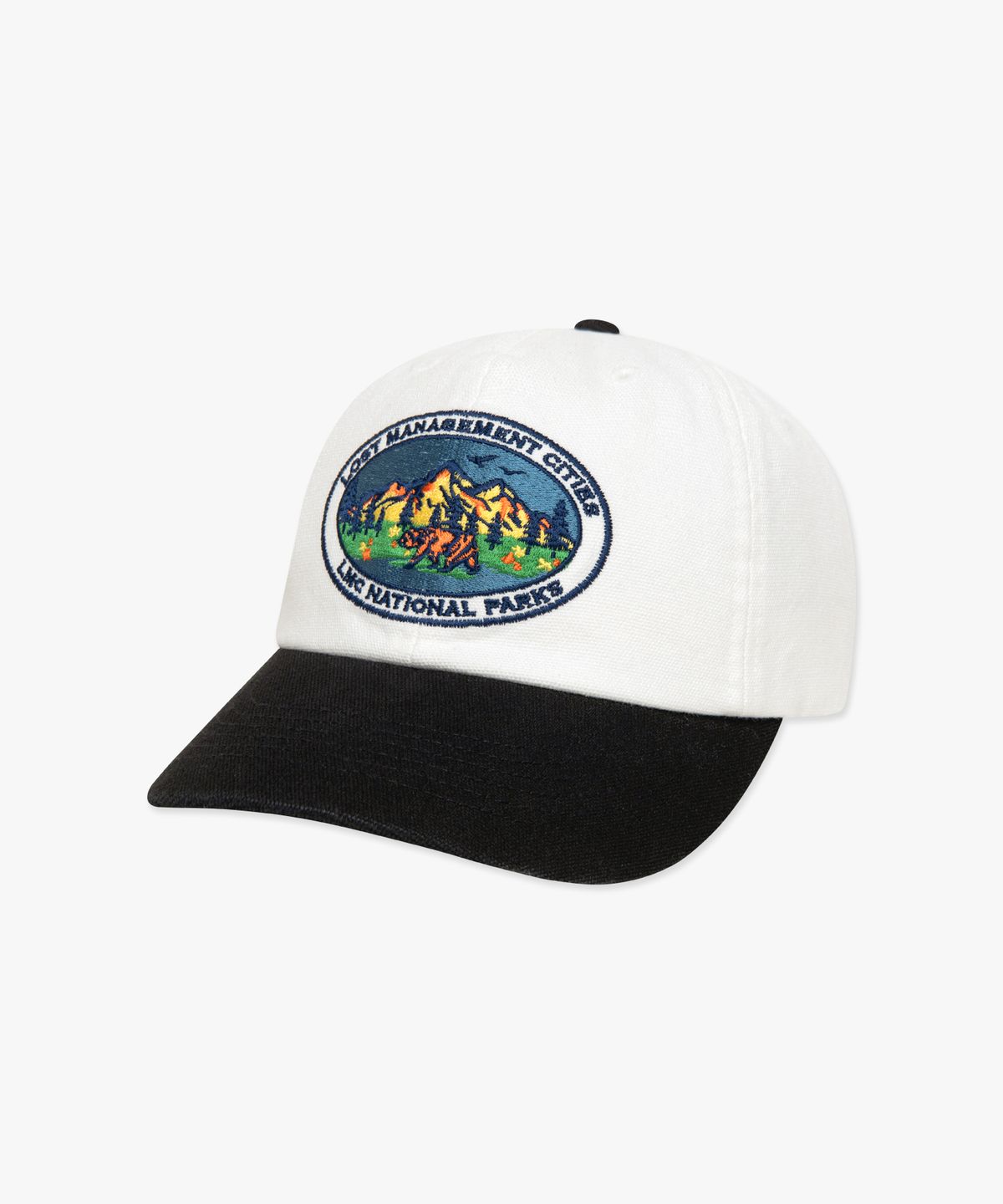 엘엠씨(LMC) VTG COLOR BLOCK 6PANEL CAP black