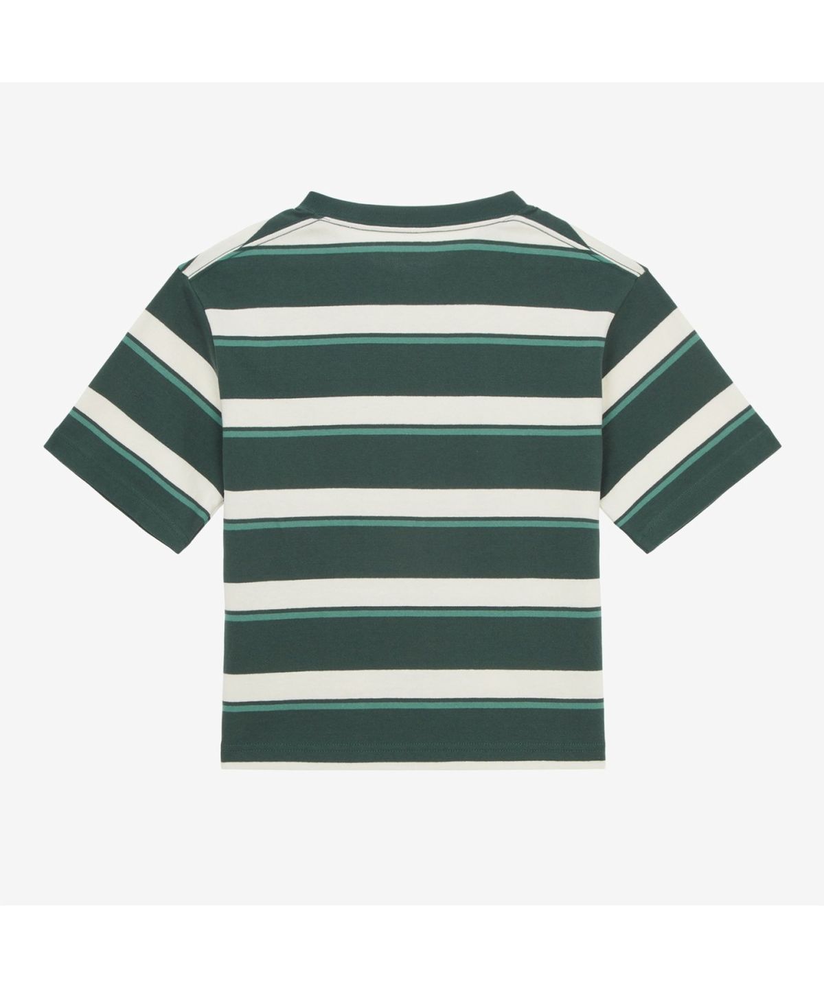 노스페이스(THE NORTH FACE) NT7UR28B 듀로 스트라이프 반팔 티셔츠 CLASSIC_GREEN