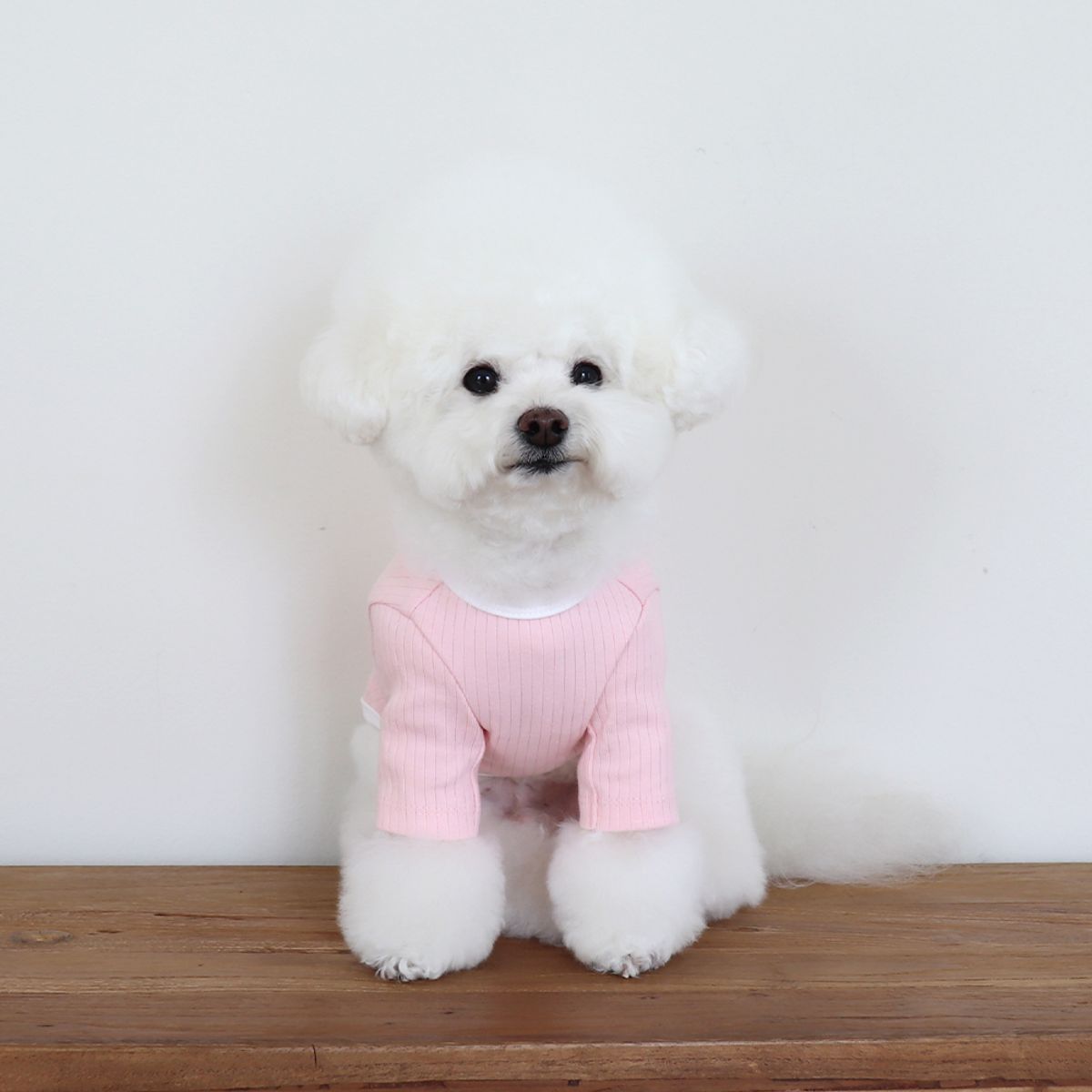 쉬오트(CHIOT) 멜로우핏 패치 티셔츠 (핑크)