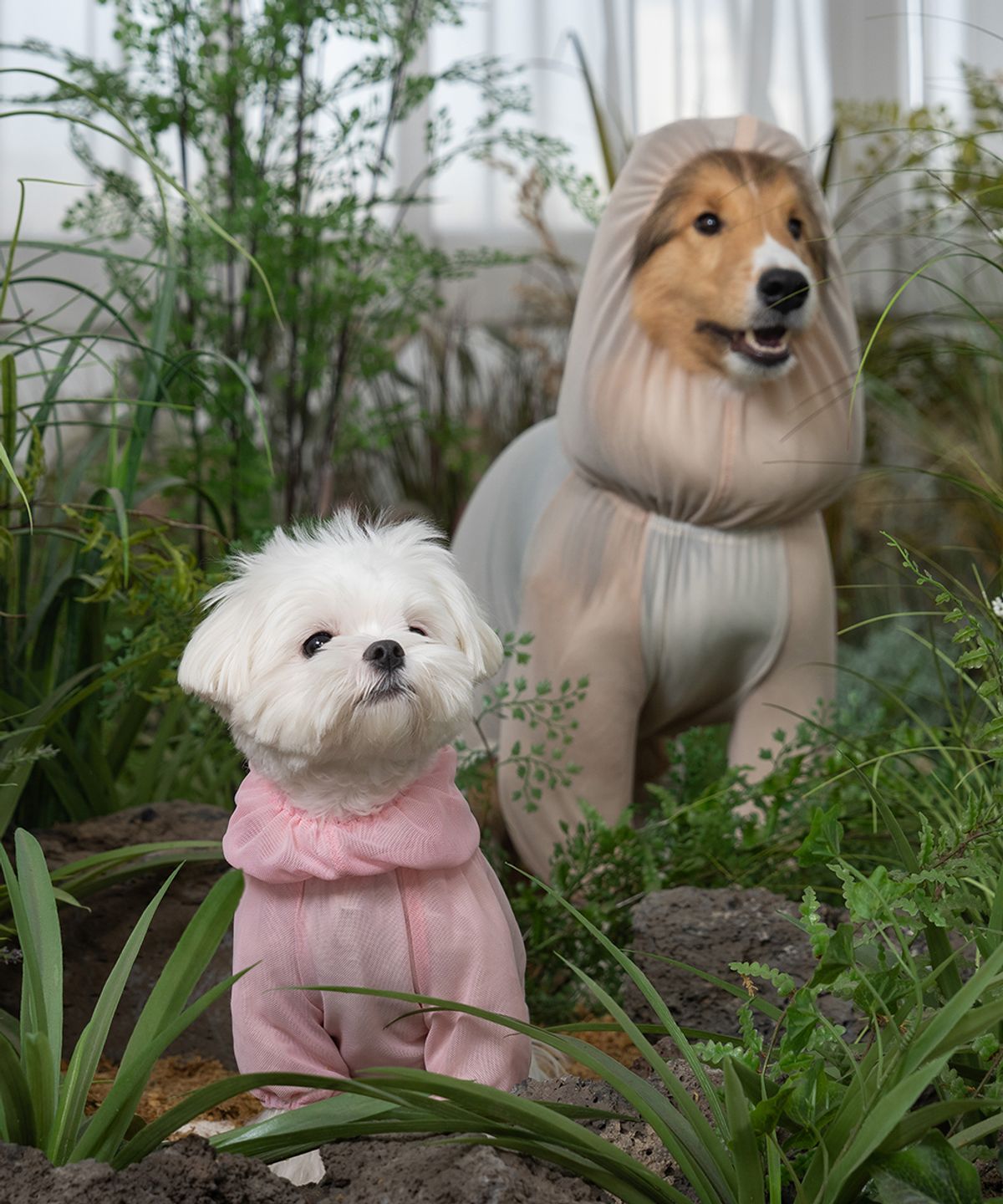도그아이(DOGI) 강아지 해충방지옷 올인원 버그가드 수트 아이보리
