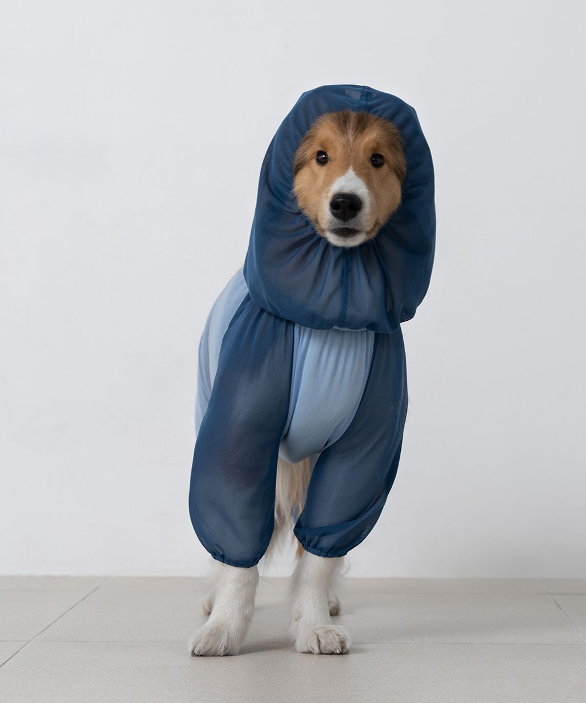 도그아이(DOGI) 강아지 해충방지옷 올인원 버그가드 수트 블루