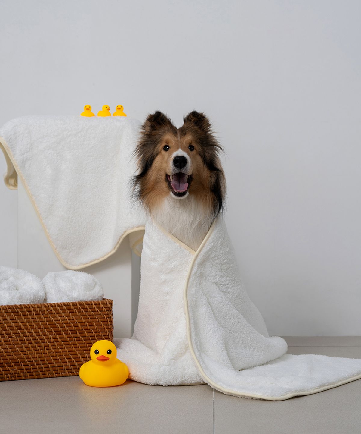 도그아이(DOGI) 반려동물 극세사 자이언트 펫타올