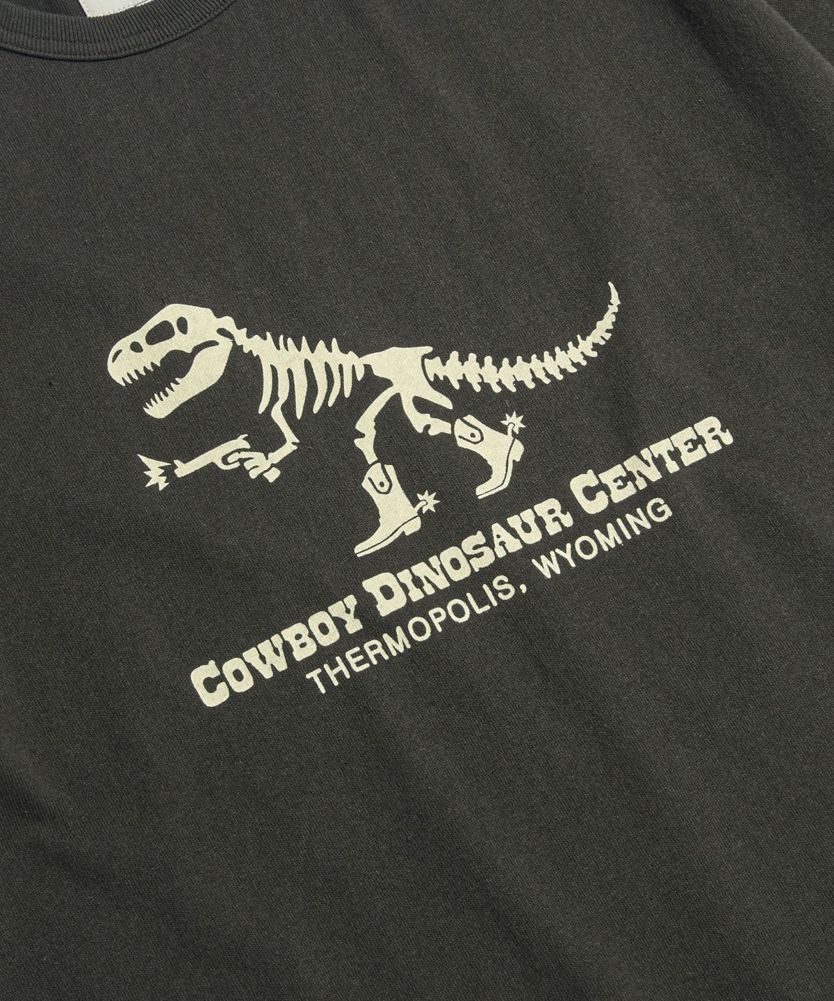 에스피오나지(ESPIONAGE) CDC T-Rex Heavyweight Tee Vintage Black