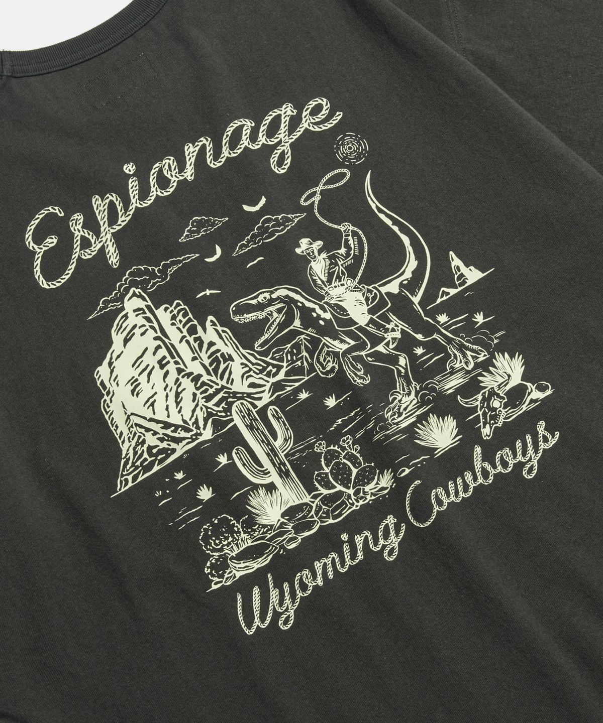 에스피오나지(ESPIONAGE) Wyoming Cowboys Heavyweight Tee Vintage Black
