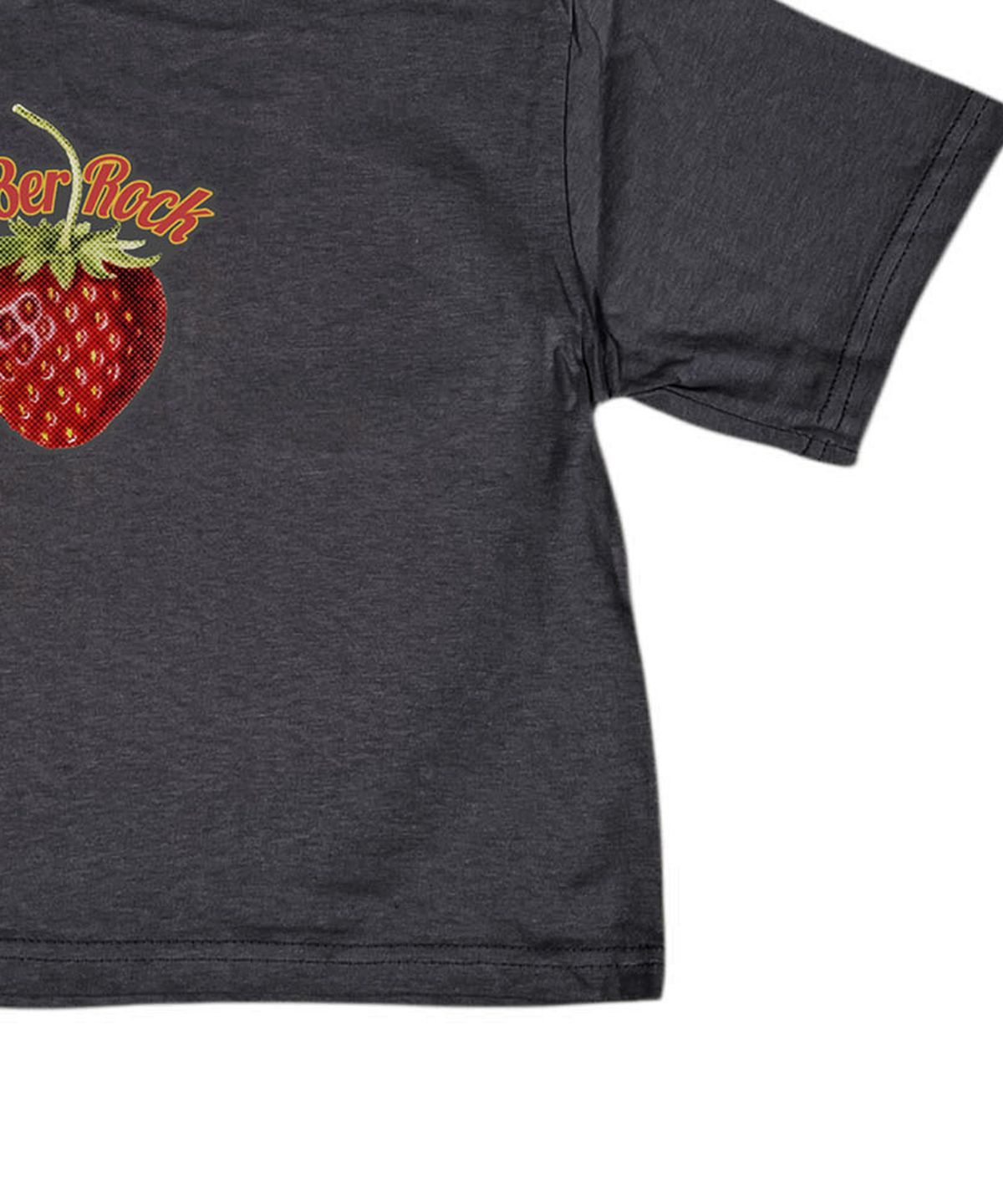 스케이터락(SK8ER ROCK) Strawberry Crop T-Shirt ((charcoal))