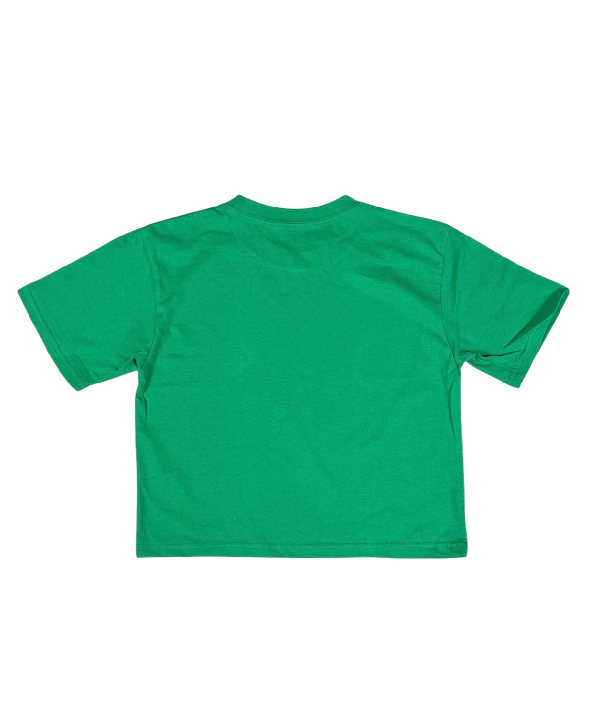 스케이터락(SK8ER ROCK) Strawberry Crop T-Shirt ((green))