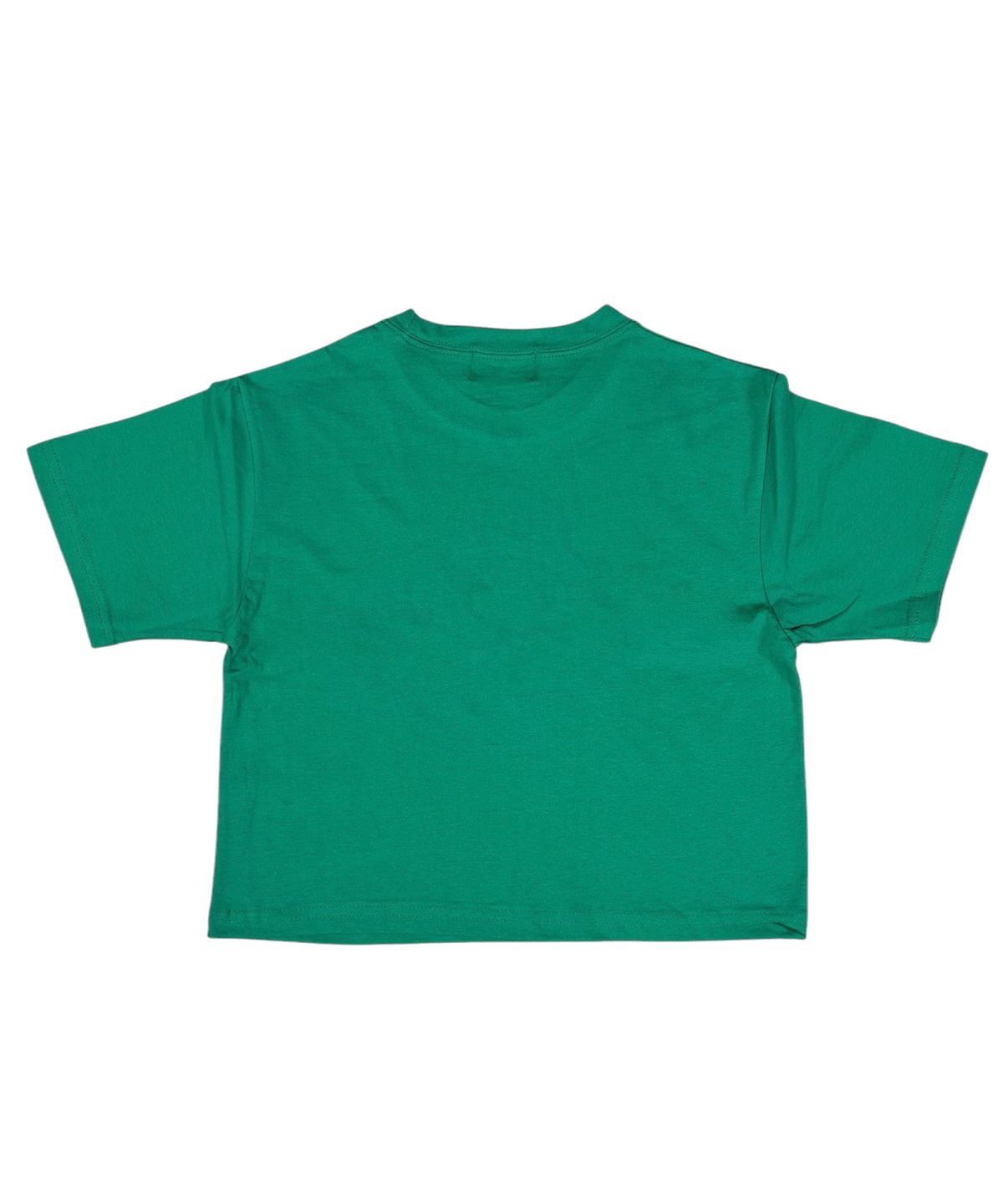 스케이터락(SK8ER ROCK) Lemon Crop T-Shirt ((dark green))