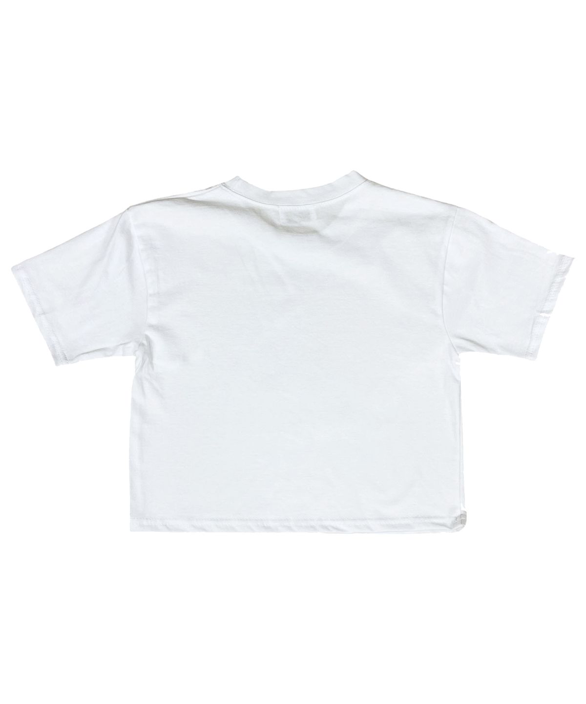 스케이터락(SK8ER ROCK) Cherry Crop T-Shirt ((white))