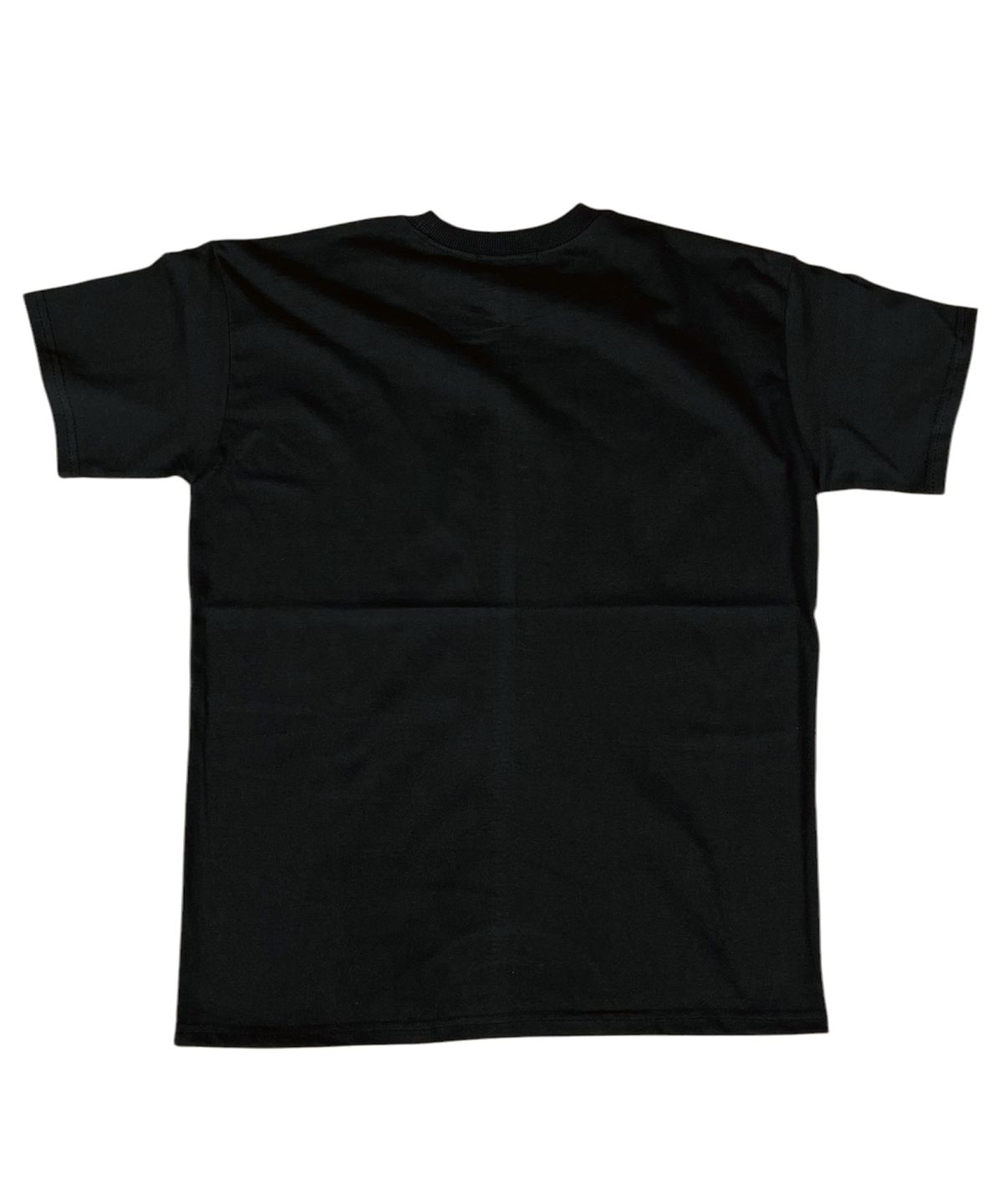 스케이터락(SK8ER ROCK) Band Poster T-shirt ((black))
