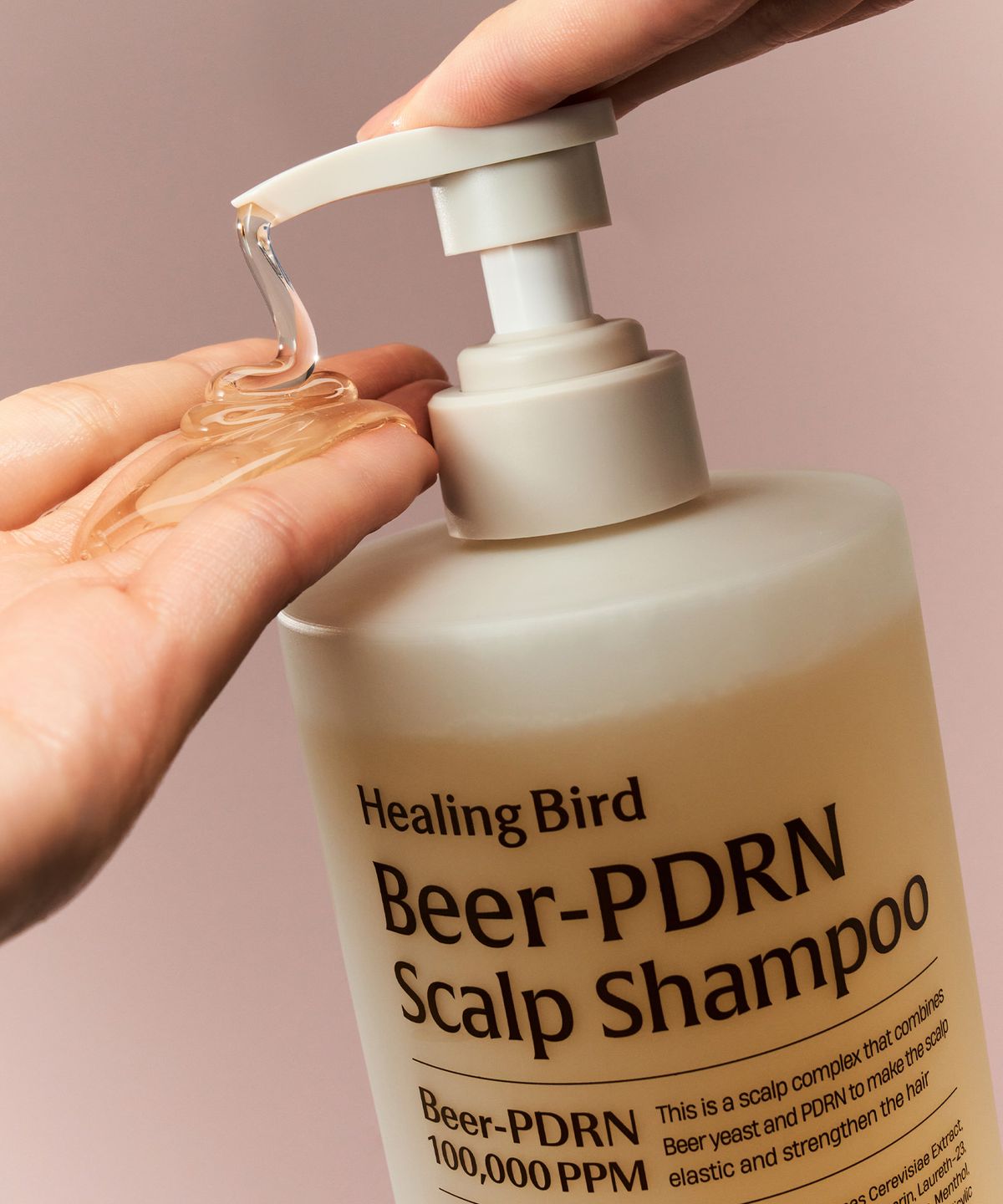 힐링버드(HEALING BIRD) [NEW] 비어 PDRN 탈모 샴푸 1000ml