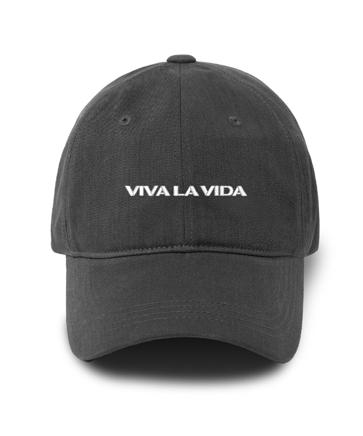 비바라비다(VIVA LA VIDA) Text 볼캡