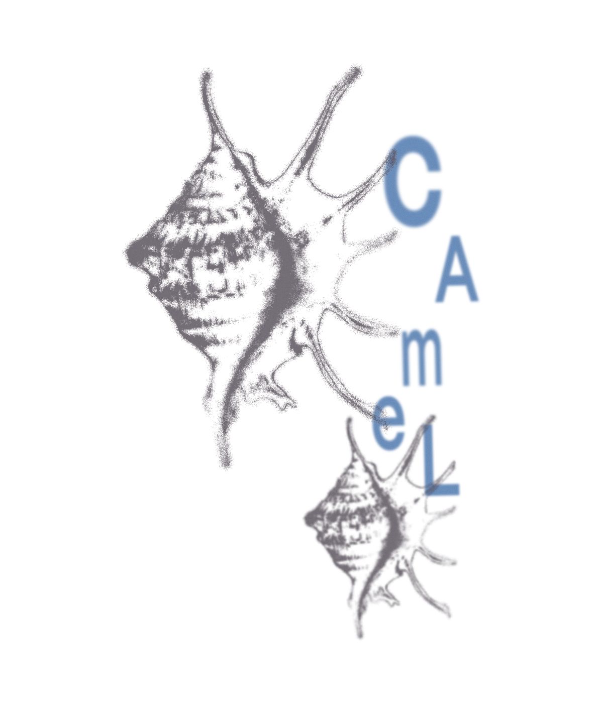 카멜워크(CAMEL WORK) 터번 스네일스 반팔티셔츠(화이트)