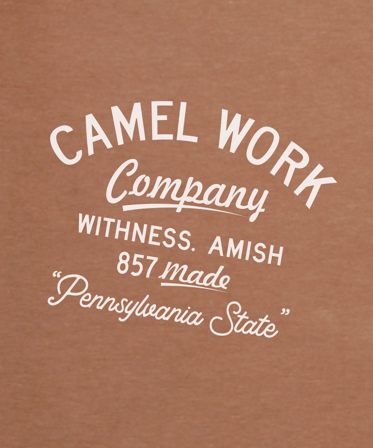 카멜워크(CAMEL WORK) 위트니스 A. 반팔티셔츠(더스트피치)