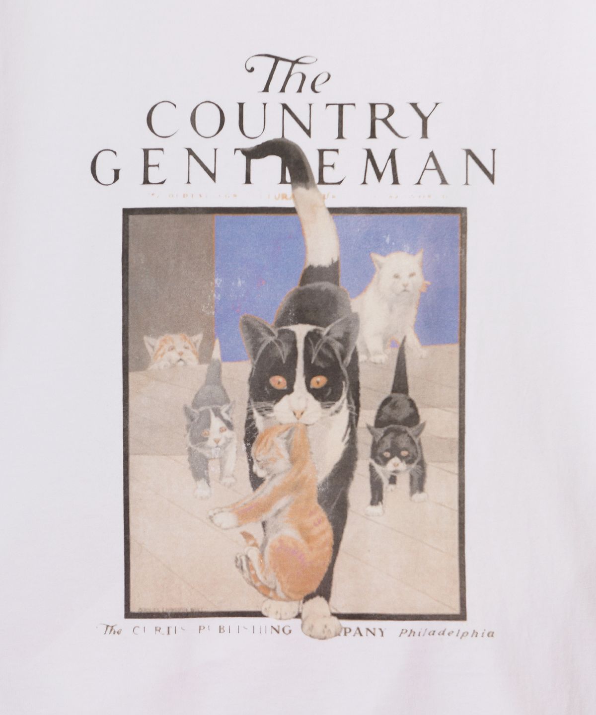 더 새터데이 이브닝 포스트(THE SATURDAY EVENING POST) Country Cat T-Shirt White