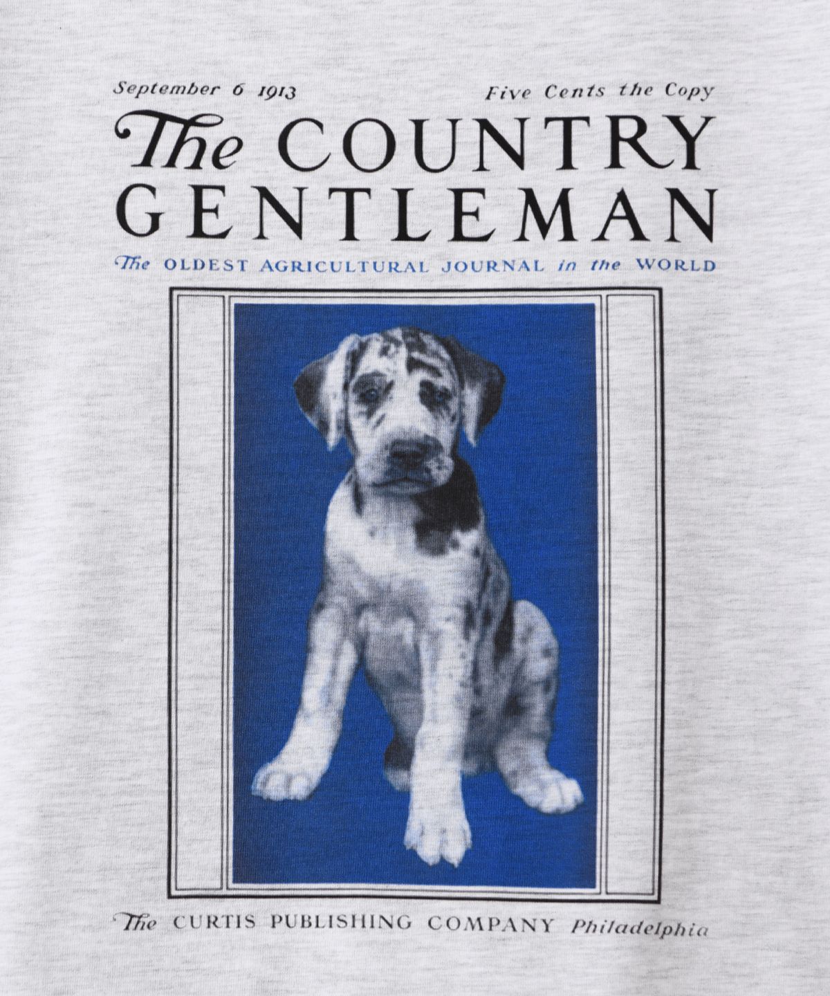 더 새터데이 이브닝 포스트(THE SATURDAY EVENING POST) Blue Puppy Graphic T-Shirt Light Gray