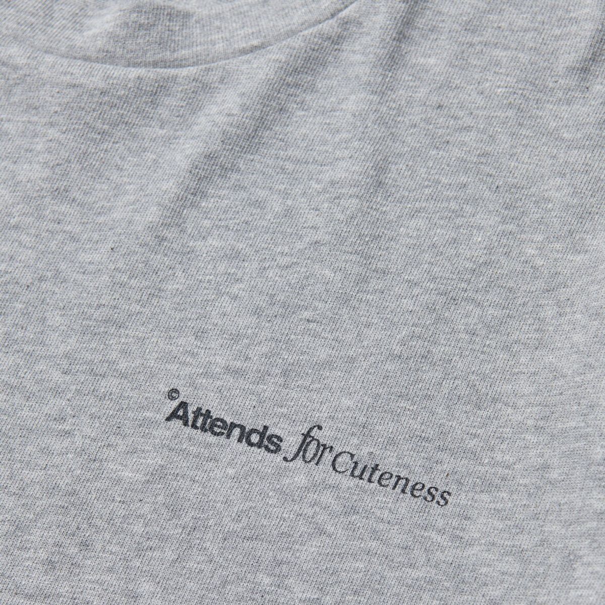 어텐즈(ATTENDS) Basic Long Sleeve Tee Shirt (Gray)