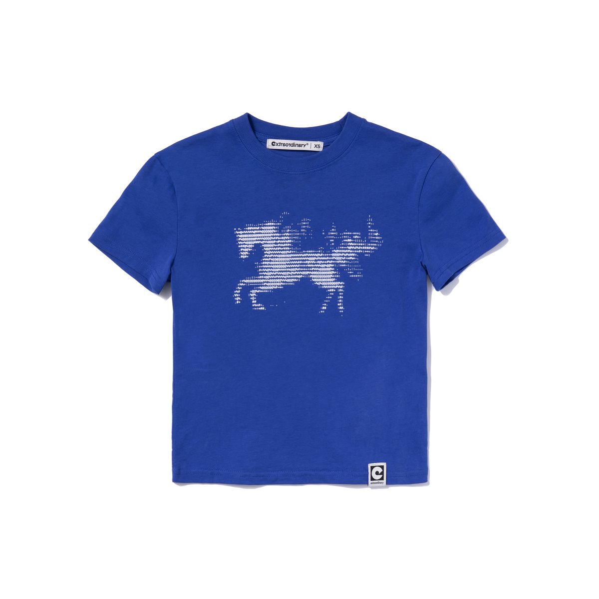 엑스트라오디너리(EXTRAORDINARY) W ASCII CODE TEE BLUE