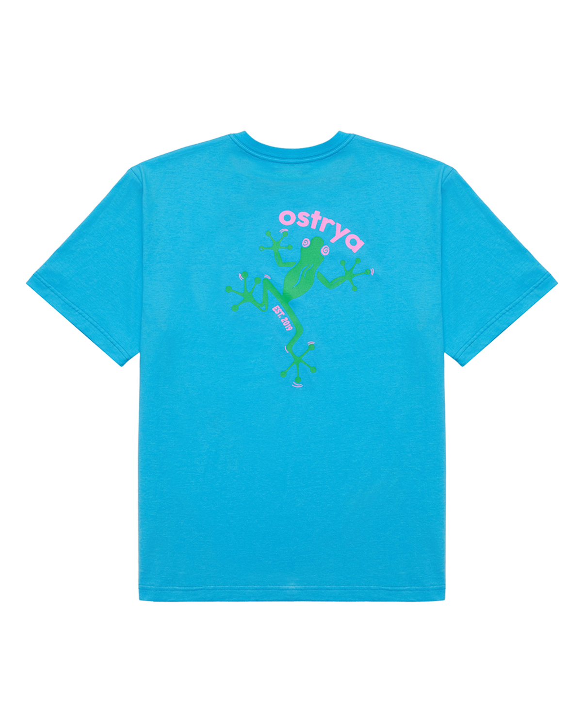 오스트리야(OSTRYA) Dizzy Frog Heavy Du-Tee Sky Blue
