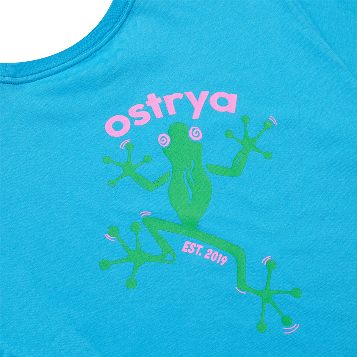 오스트리야(OSTRYA) Dizzy Frog Heavy Du-Tee Sky Blue
