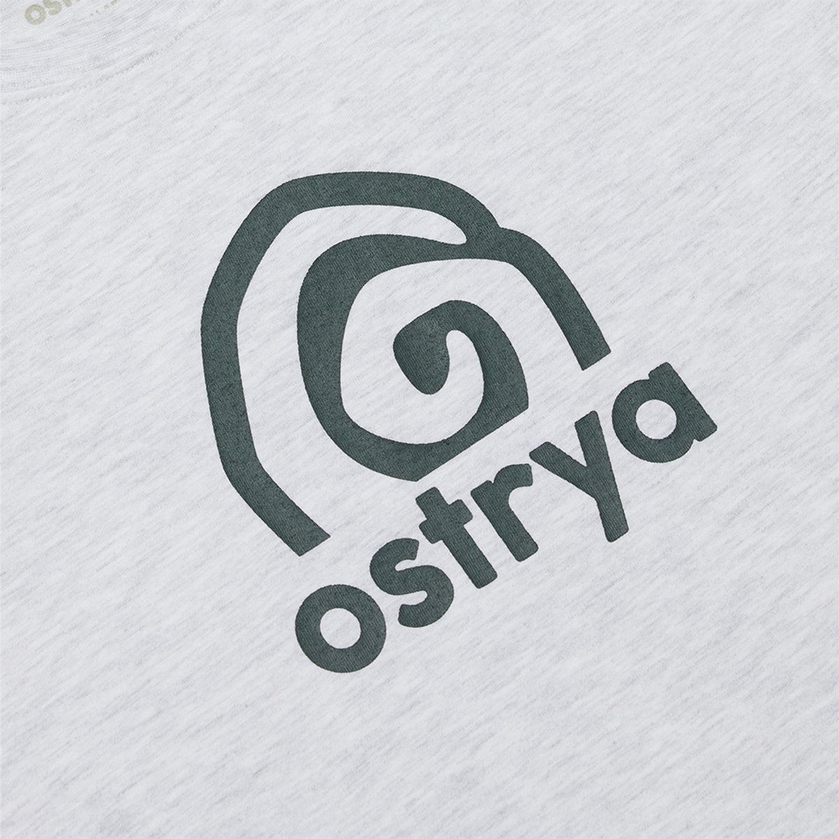 오스트리야(OSTRYA) Rising Swirl Heavy Du-Tee Heather Gray