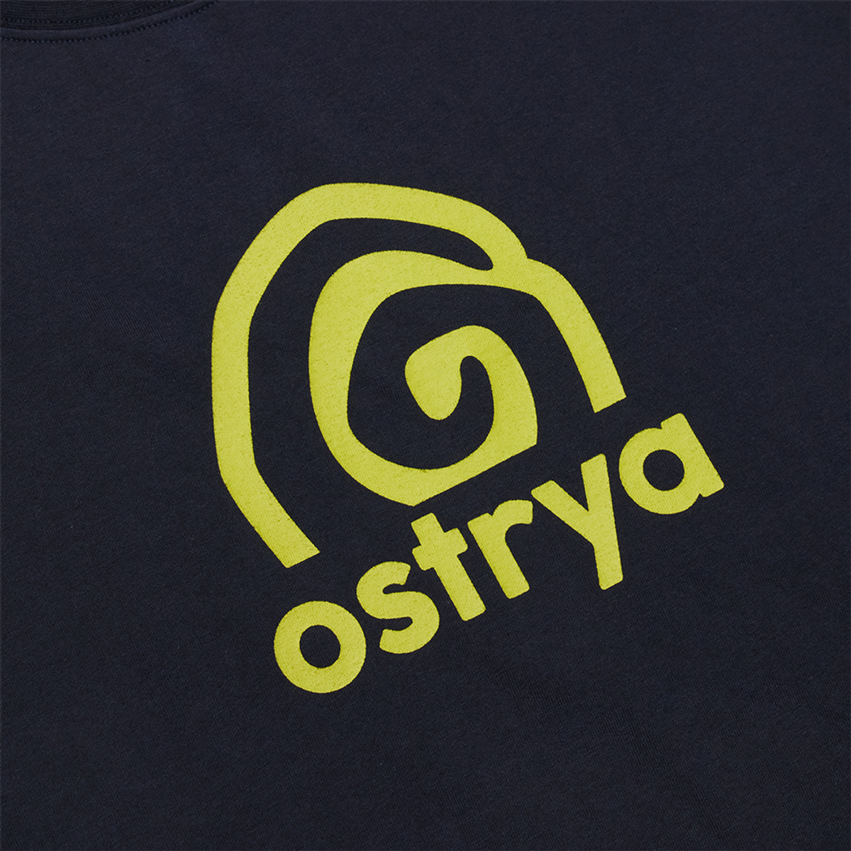 오스트리야(OSTRYA) Rising Swirl Heavy Du-Tee Washed Black