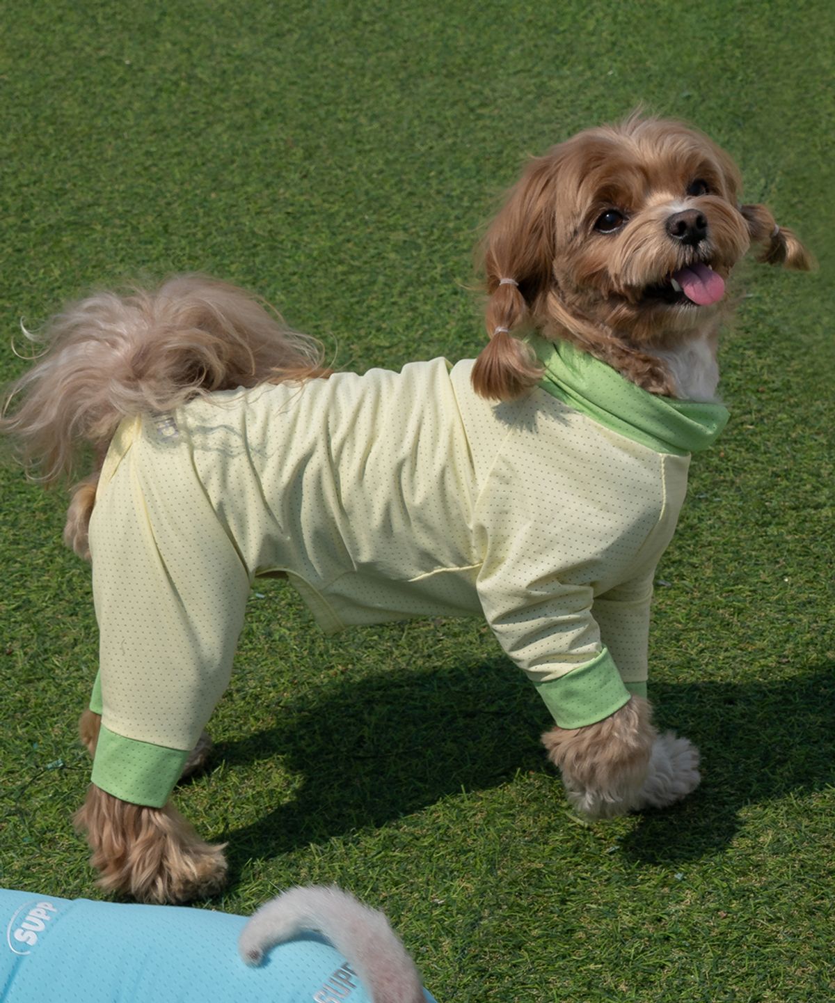 도그아이(DOGI) 강아지 해충방지옷 올인원 쿨링수트 레몬