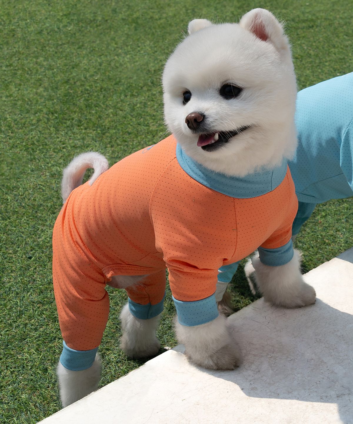 도그아이(DOGI) 강아지 해충방지옷 올인원 쿨링수트 딥코랄