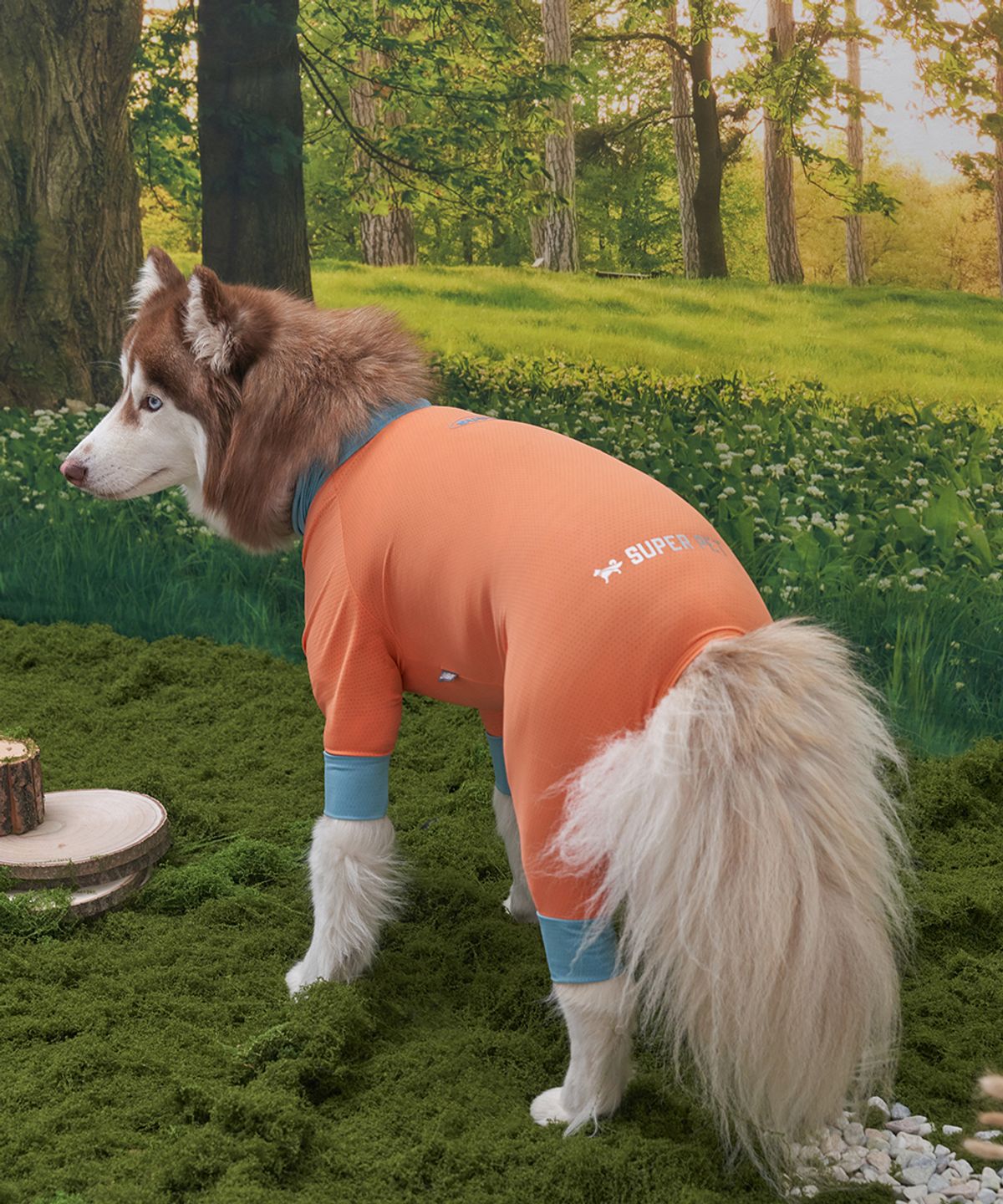 도그아이(DOGI) 강아지 해충방지옷 올인원 쿨링수트 딥코랄