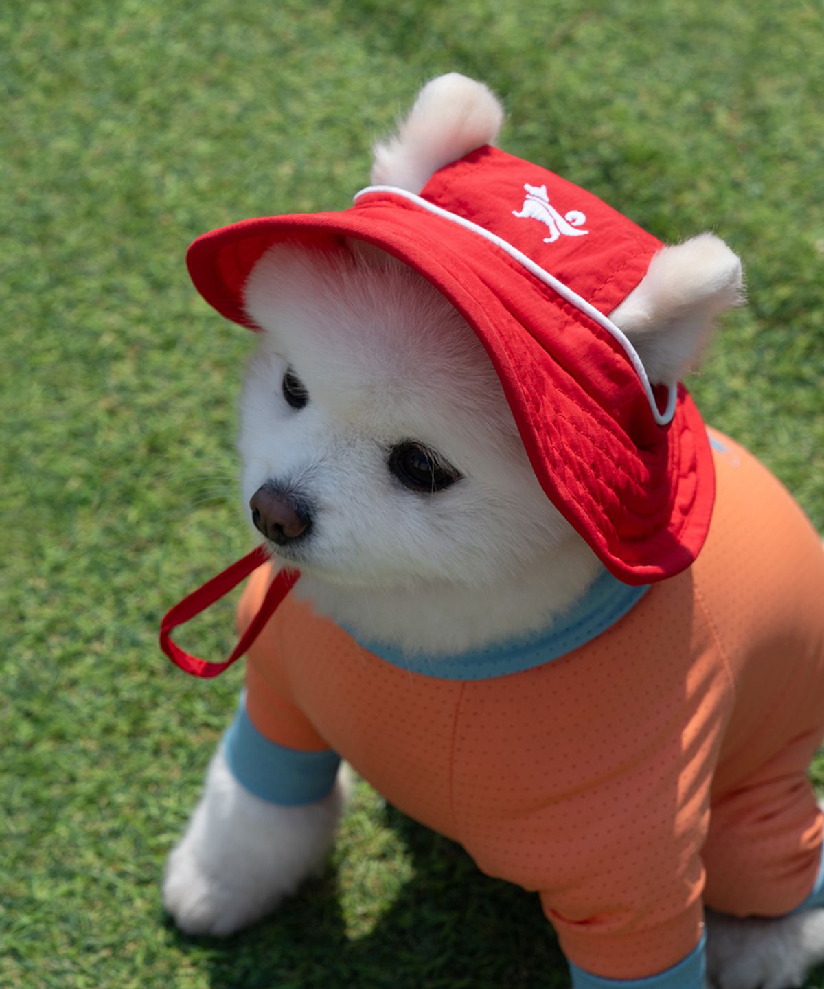 도그아이(DOGI) 강아지모자 아웃도어 캡 레드
