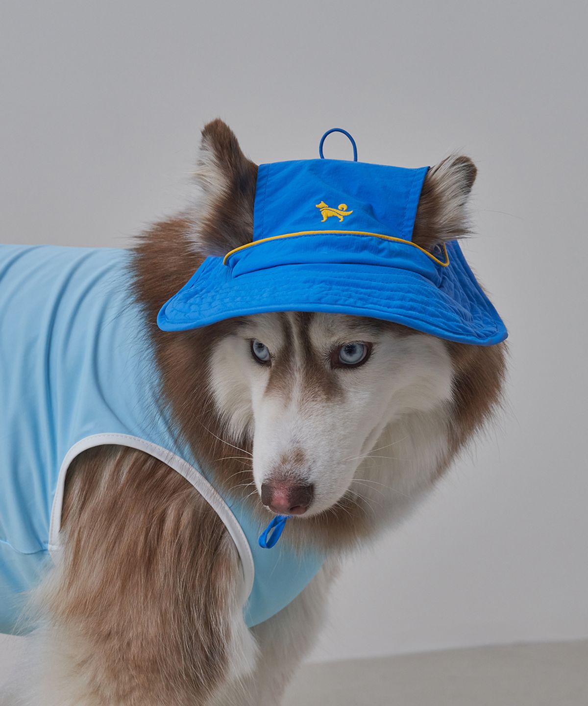 도그아이(DOGI) 강아지모자 아웃도어 캡 블루