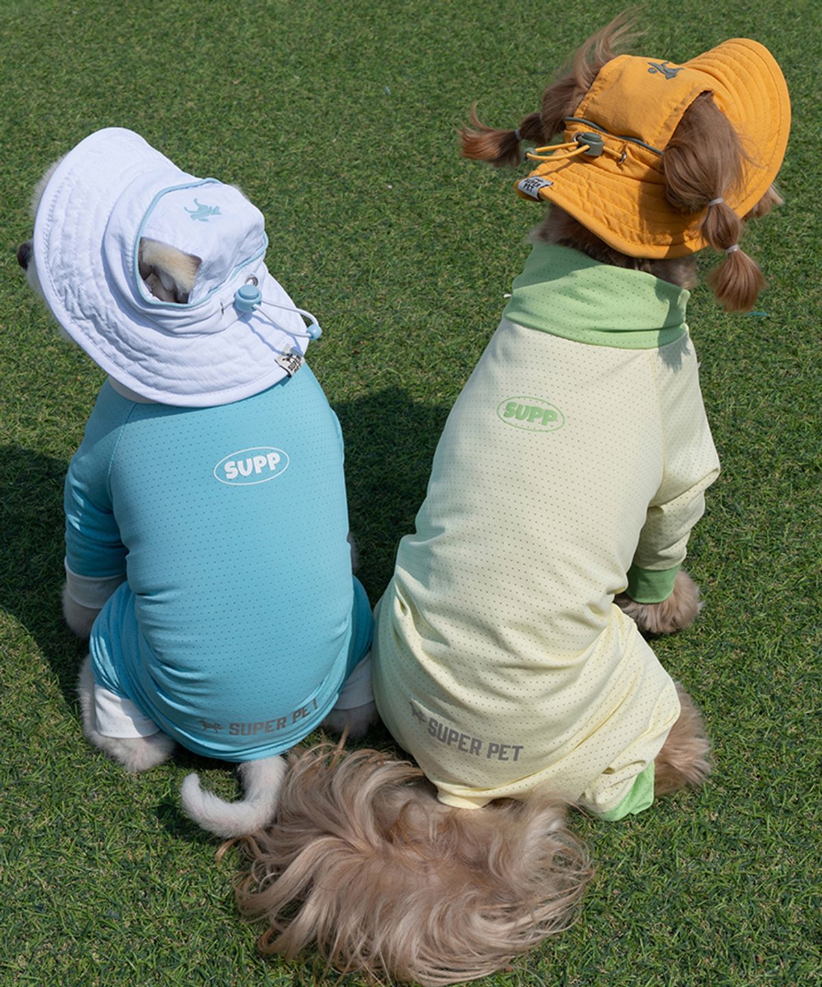 도그아이(DOGI) 강아지모자 아웃도어 캡 화이트