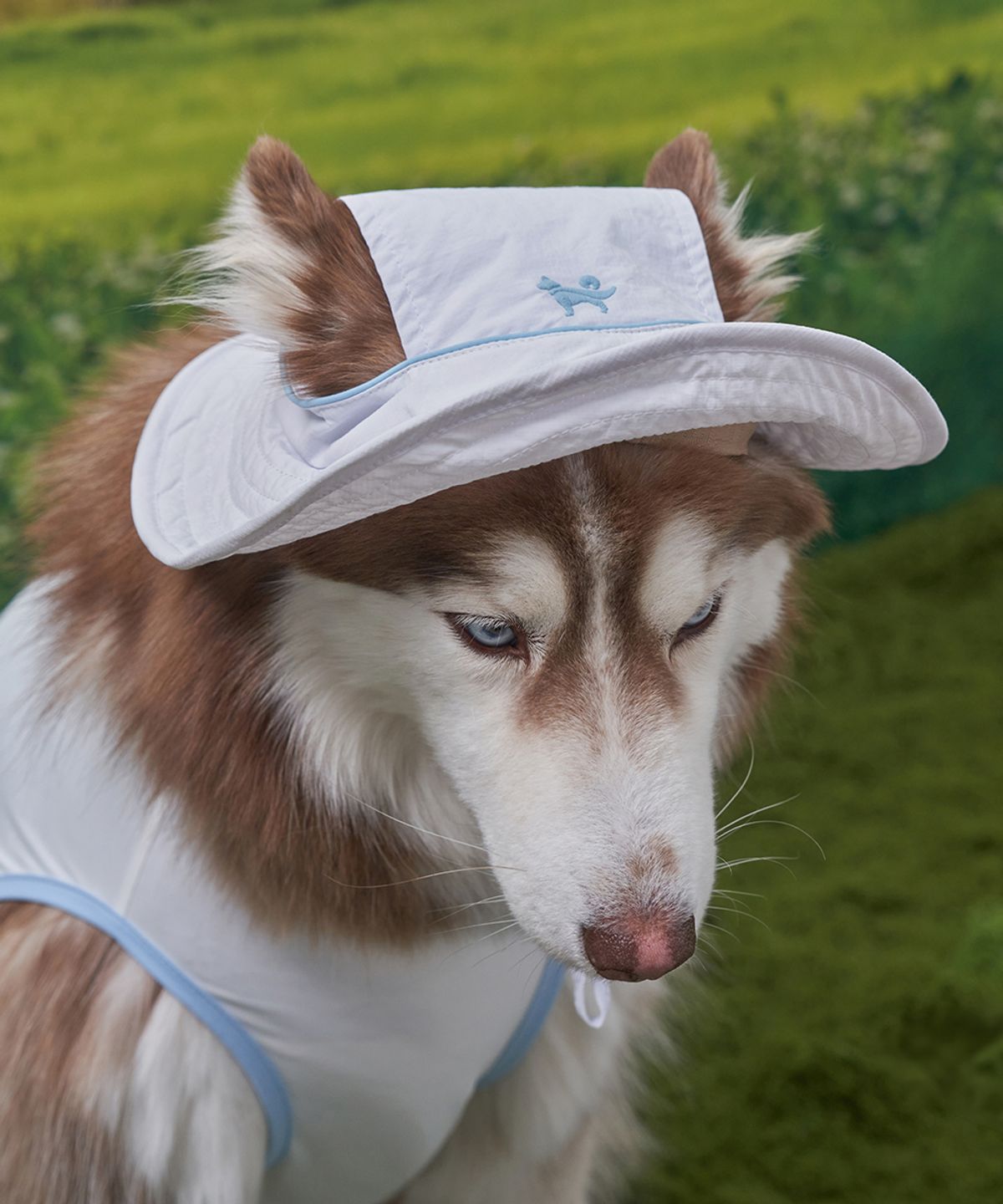도그아이(DOGI) 강아지모자 아웃도어 캡 화이트